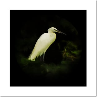 Egret Posters and Art